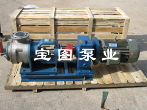 NYP內環(huán)式保溫泵